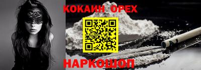 спайс Кингисепп