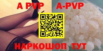 спайс Кингисепп