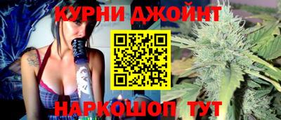 спайс Кингисепп