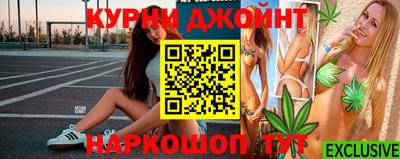 спайс Кингисепп
