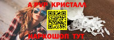 спайс Кингисепп