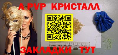 спайс Кингисепп