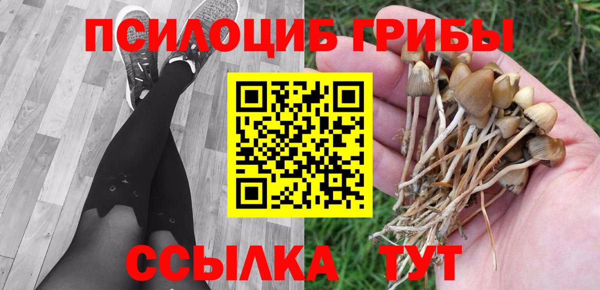 Галлюциногенные грибы Psilocybine cubensis  Вход с VPN  Галлюциногенные грибы Cubensis  купить   Корсаков 